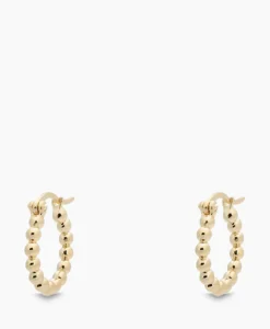 New Oorbellen Solstice Ring Earrings Silver Goldplated Goud Dames Sieraden