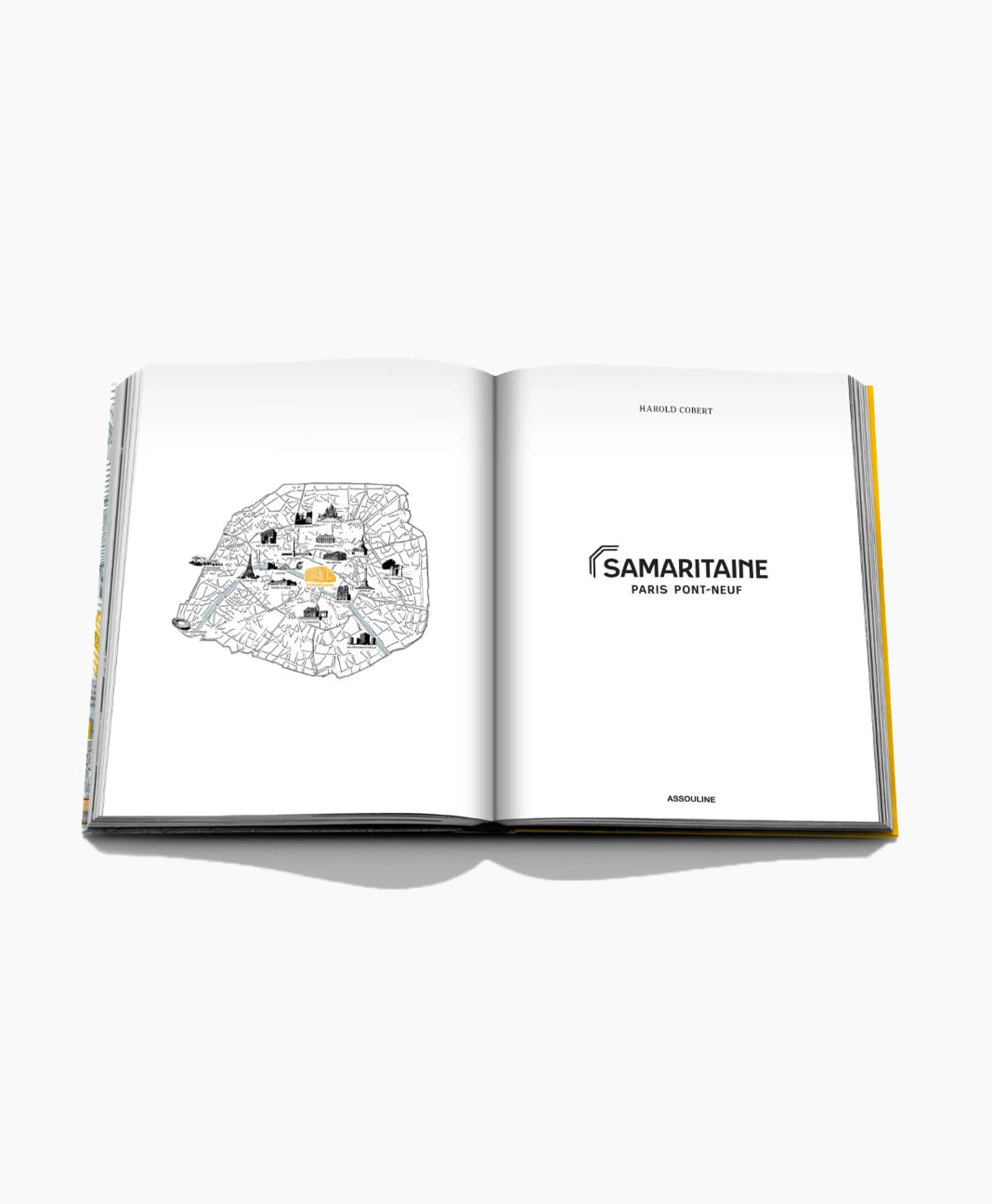 Flash Sale Boek La Samaritaine: Paris Pont Neufdiversen Lifestyle Lifestyle