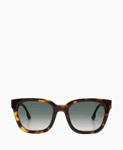 Discount Zonnebril Turner Havana Jazz Diversen Heren Zonnebrillen