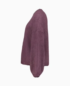 Best Sale Pullover 233-1670-23379 Paars Dames Truien