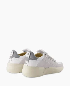 New Sneaker Roque Roman Grijs Heren Sneakers