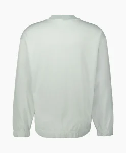 New Sweater 652X2 Licht Blauw Heren Truien