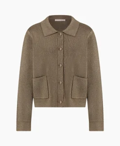 Flash Sale Vest Imke Lurex Cardigan Bruin Dessin Dames Vesten