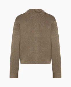 Flash Sale Vest Imke Lurex Cardigan Bruin Dessin Dames Vesten